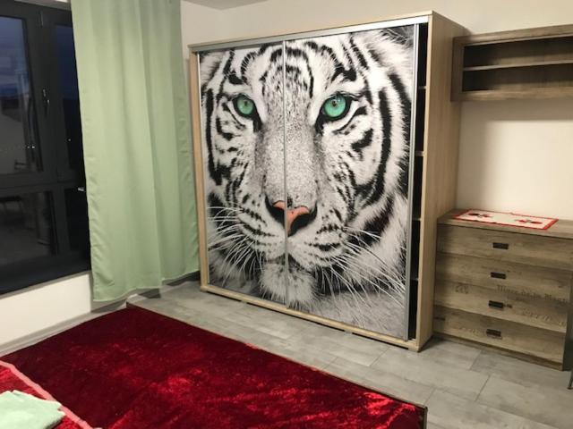 Apartmán Mezadler Košice Exteriér fotografie